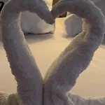 Bestie Nest