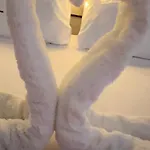 Проживание в семье Bestie Nest
