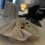 Проживание в семье Bestie Nest *