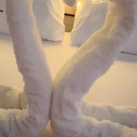 Gazde/Camere de închiriat Bestie Nest