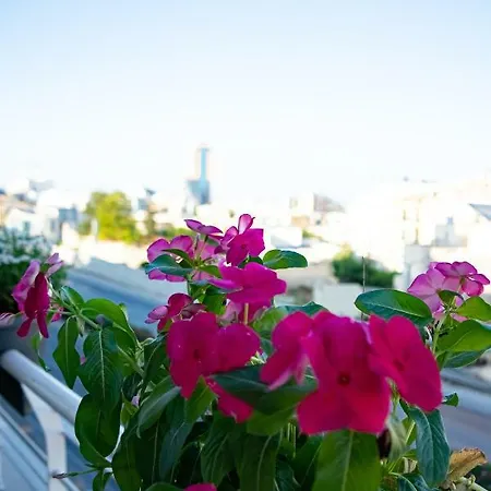 Gazde/Camere de închiriat Bestie Nest