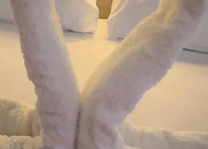 Pansiyon Bestie Nest